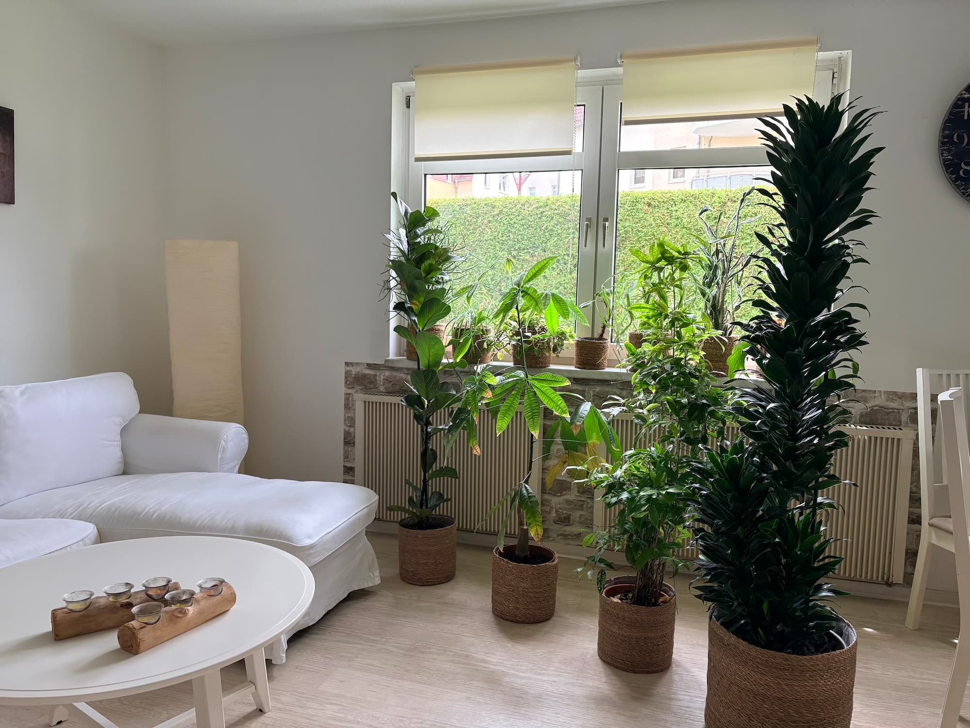 Helle 2‑Zimmer‑Wohnung in ruhiger Lage von Bannewitz – Vorschaubild 3